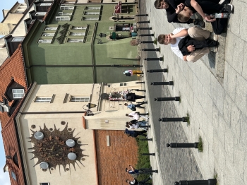 IMG_7618.jpeg