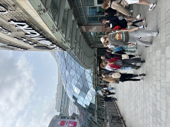 IMG_7654.jpeg