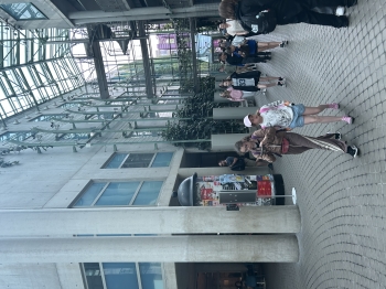 IMG_7738.jpeg