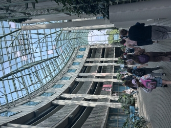IMG_7737.jpeg