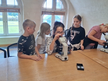 d76c820a-6964-4b2e-8b56-9d470a585fad