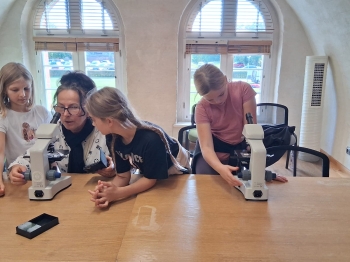 65ac9eb4-6395-4819-87d4-b57db3ec8c3f