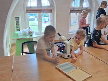 914c3493-ccc7-4f31-9310-4de8c2c28705