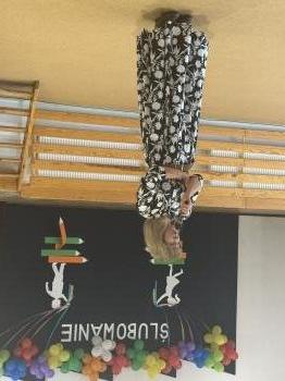 IMG_3210.jpeg