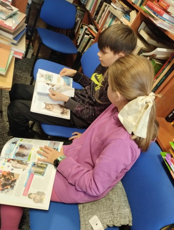 d1516cb0-43f3-490a-ad39-4a0e77022e83