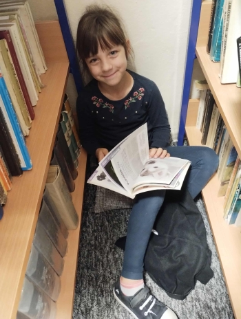 d958d441-1da2-4456-b5e2-137047f78c18