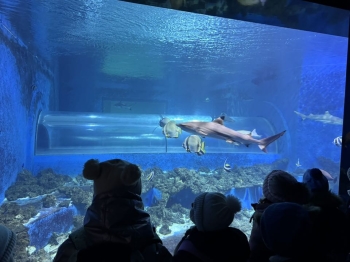 596683175_840712681912669_4965267553017770904_n