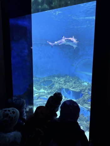 598721607_840713938579210_2729463274105336647_n