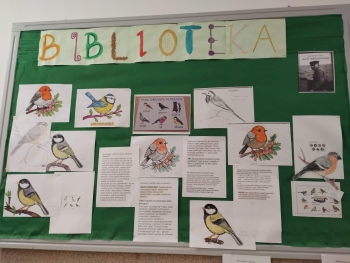 d7e88a46-4144-49ad-88f5-827a11b97043