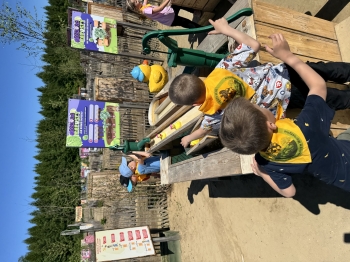 IMG_0243.jpeg