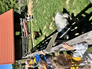 IMG_0218.jpeg