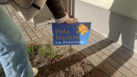 Pola nadziei